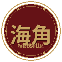 海角